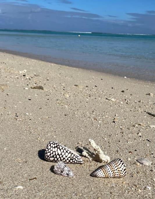 Villa La Playa Pieds Dans L'Eau Lagon + Piscine Saint-Gilles-les Bains Exteriör bild